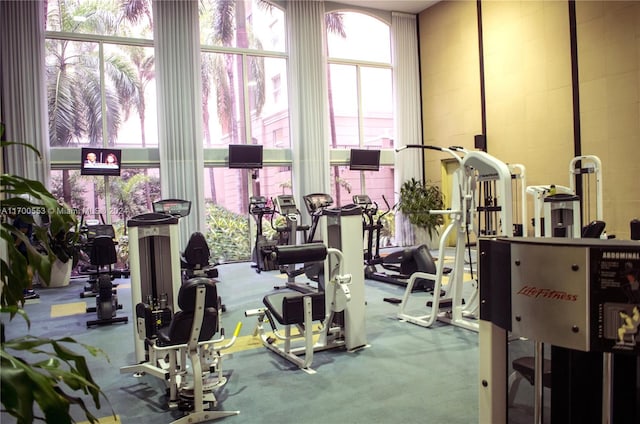 workout area with carpet floors