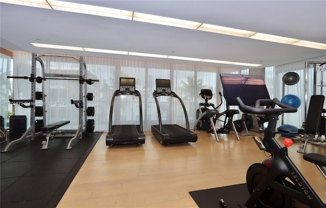 exercise room with light hardwood / wood-style floors