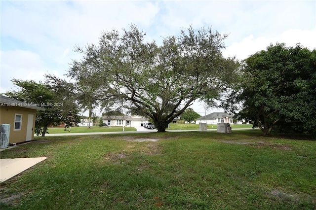 view of yard