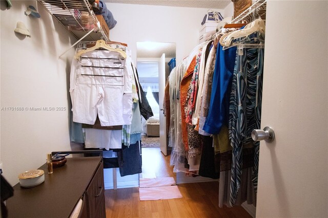 walk in closet with hardwood / wood-style flooring