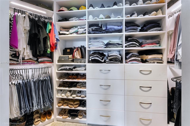 view of walk in closet