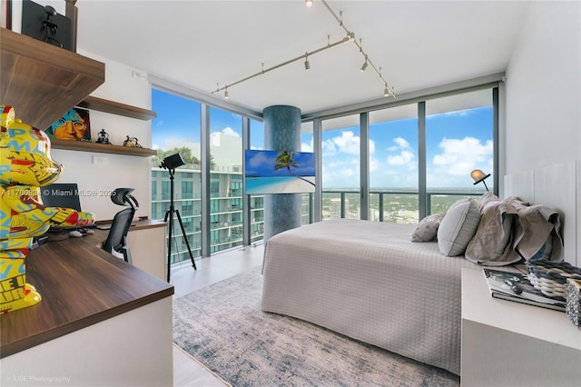 bedroom with track lighting, floor to ceiling windows, and multiple windows