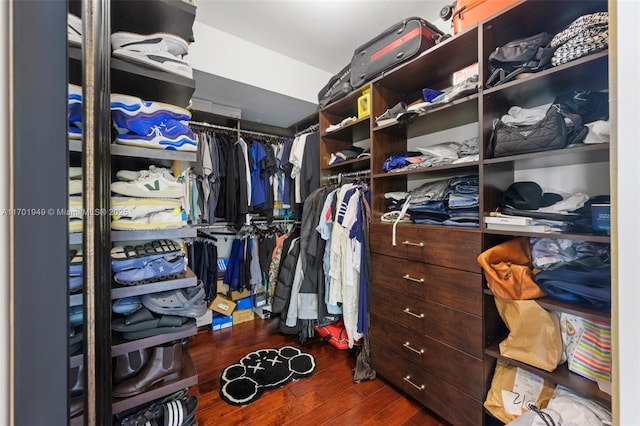 walk in closet with dark hardwood / wood-style flooring