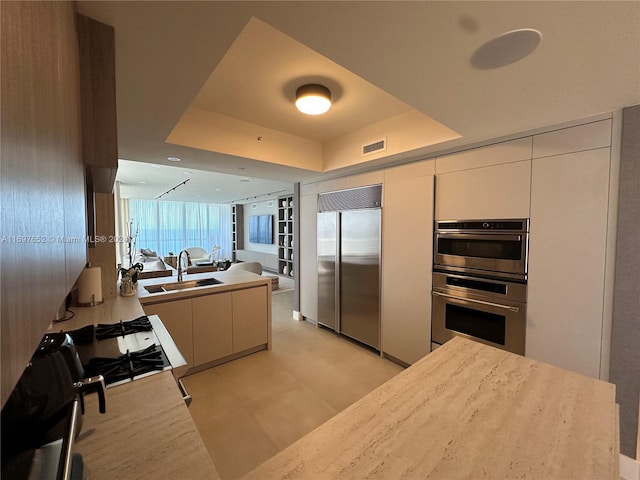 kitchen with a raised ceiling, sink, kitchen peninsula, and stainless steel appliances