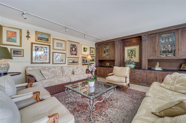 living room with rail lighting and crown molding