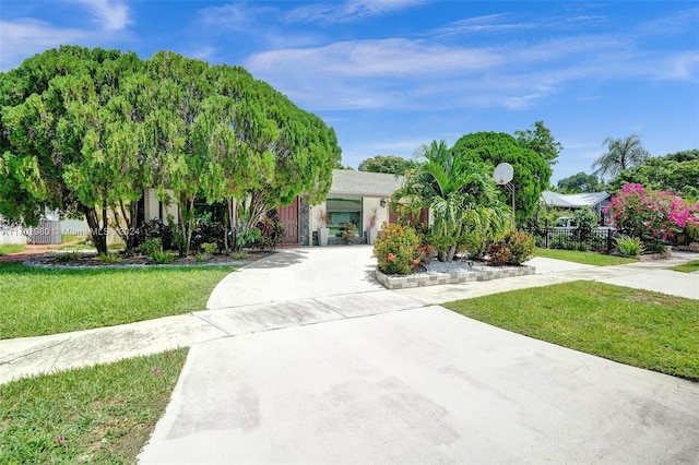 obstructed view of property with a front yard