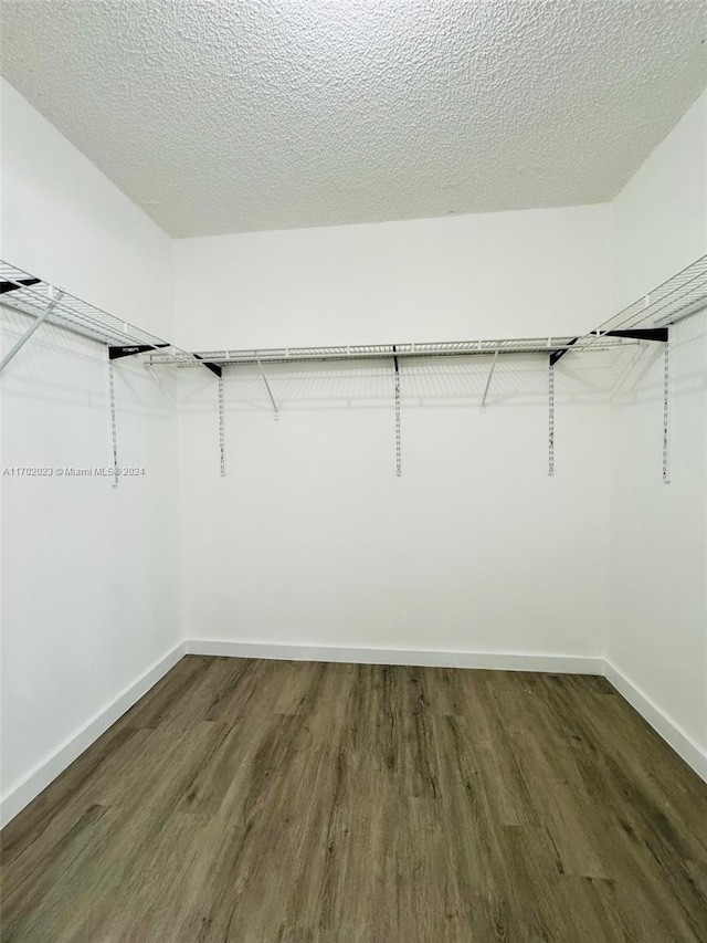 spacious closet with dark hardwood / wood-style floors