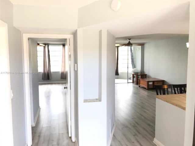 18900 NE 14th Ave Unit D204, Miami, FL 33179 - corridor with light wood-style flooring and baseboards
