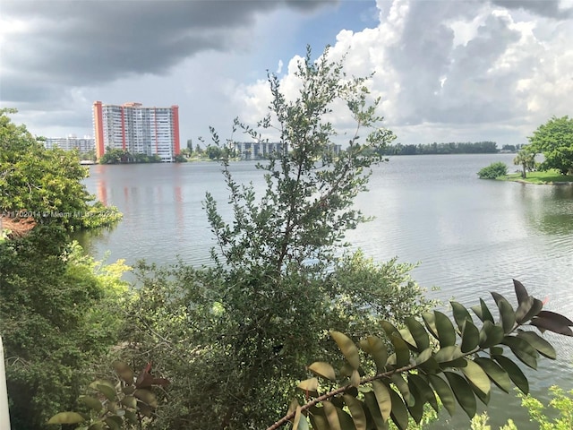 18900 NE 14th Ave Unit D204, Miami, FL 33179 - water view