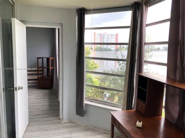 interior space with light hardwood / wood-style floors, a wealth of natural light, and a water view