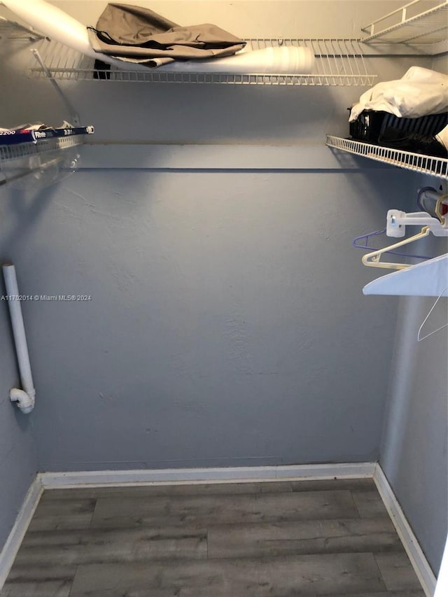 spacious closet with dark wood-type flooring