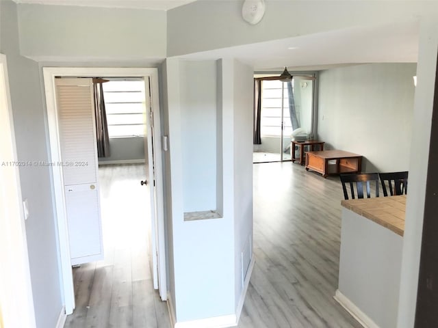 18900 NE 14th Ave Unit D204, Miami, FL 33179 - hall featuring light wood-type flooring and baseboards