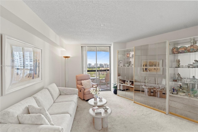 carpeted living room with a textured ceiling and a wealth of natural light