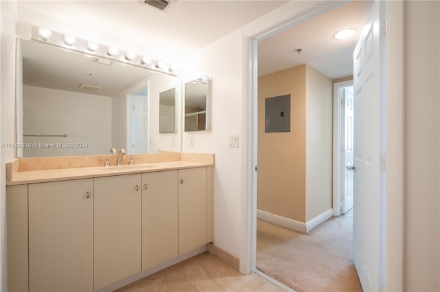 bathroom with electric panel and vanity