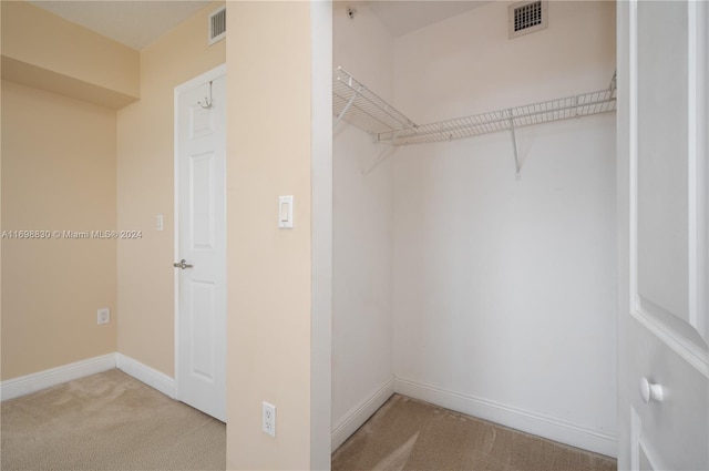 spacious closet with light carpet