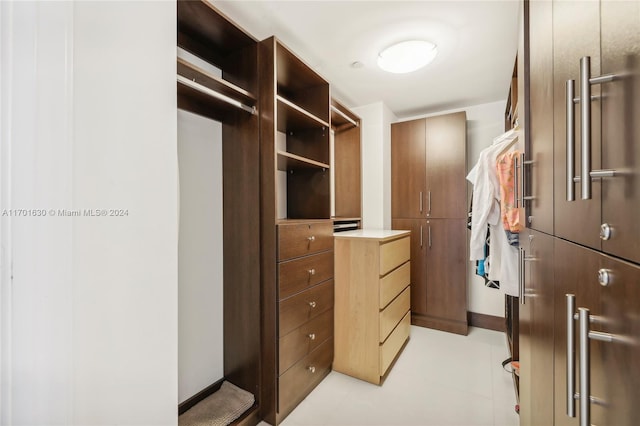 view of walk in closet