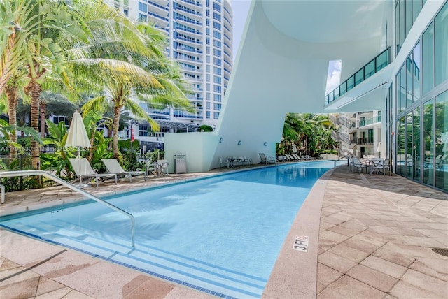 view of swimming pool featuring a patio