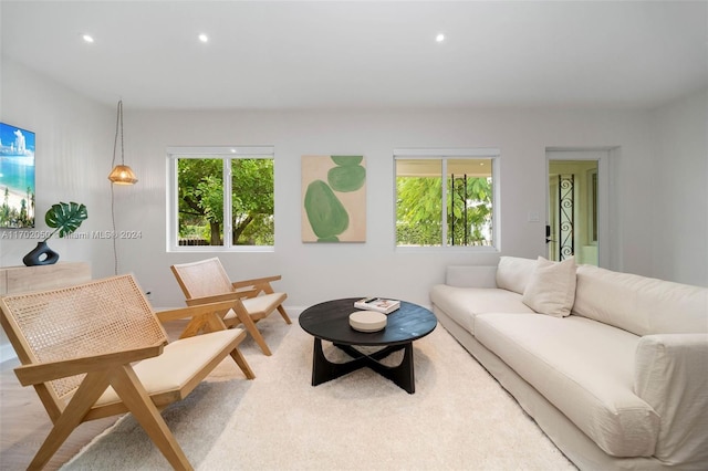 living room with a wealth of natural light