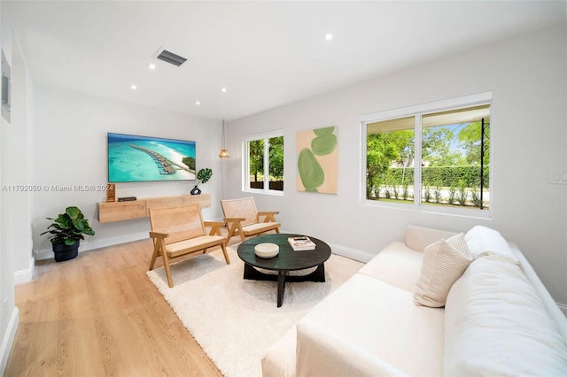 living room featuring light hardwood / wood-style flooring