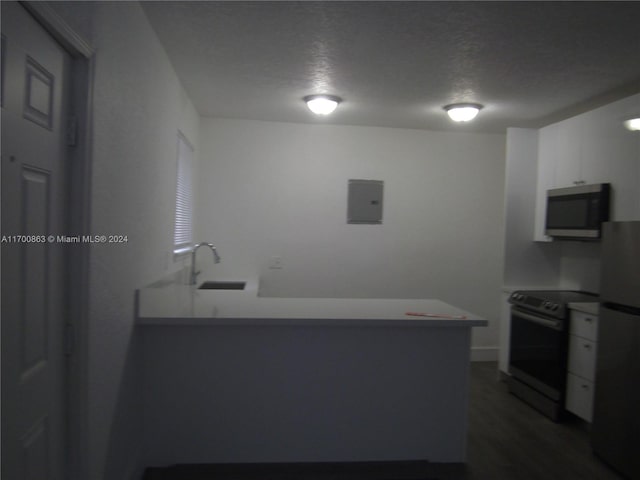 kitchen with fridge, sink, electric stove, electric panel, and dark hardwood / wood-style floors