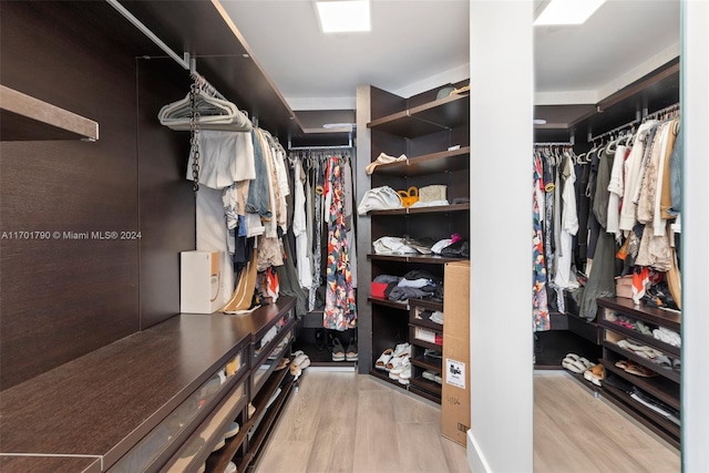 walk in closet with light wood-type flooring