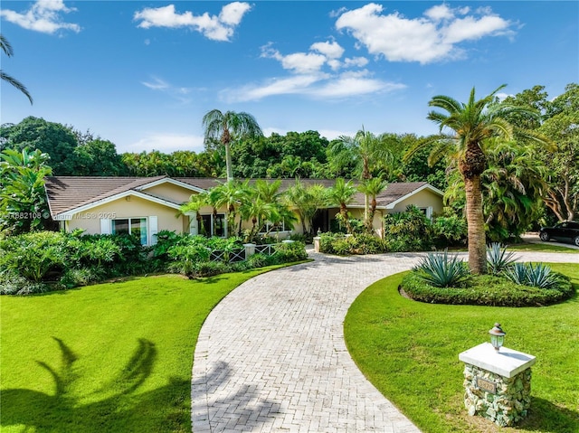 view of front of home featuring stucco siding, decorative driveway, and a front yard