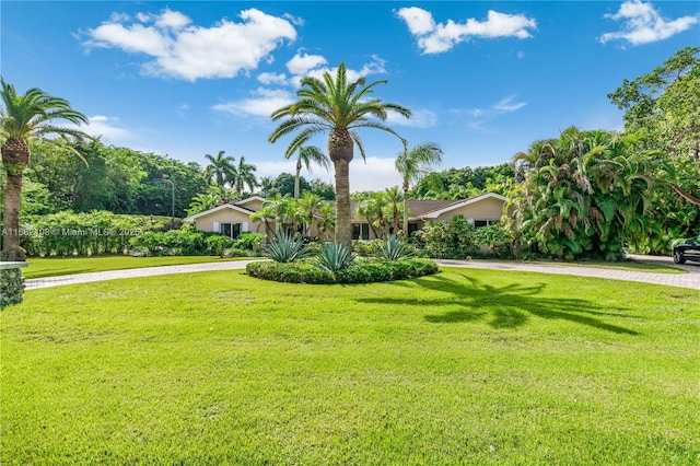 view of front of property featuring decorative driveway and a front yard