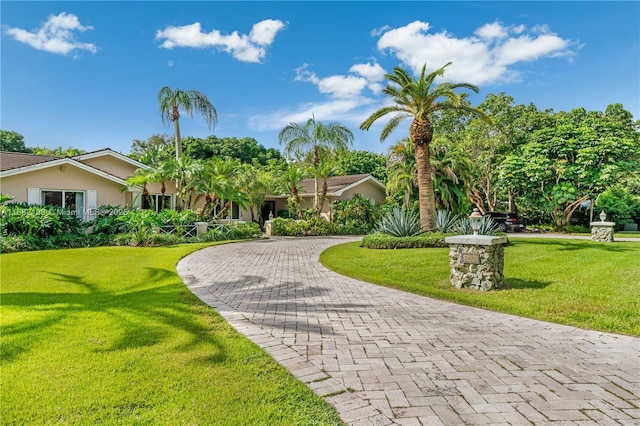 surrounding community featuring a lawn and decorative driveway