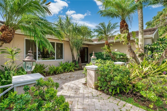 view of front of house featuring stucco siding