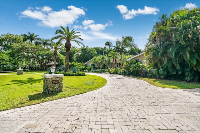 view of community featuring a yard and decorative driveway