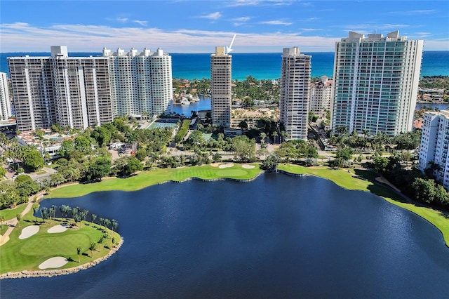 aerial view with a water view