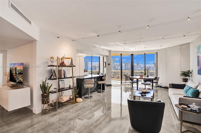 living room featuring expansive windows