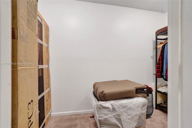 walk in closet featuring light colored carpet