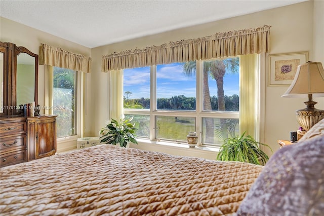 bedroom featuring a textured ceiling and multiple windows