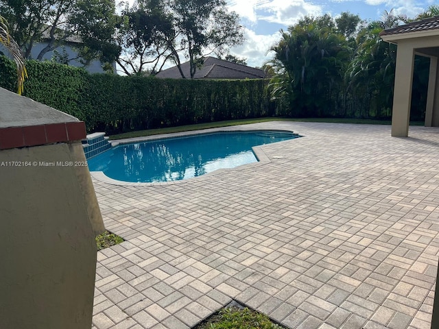 view of swimming pool with a patio