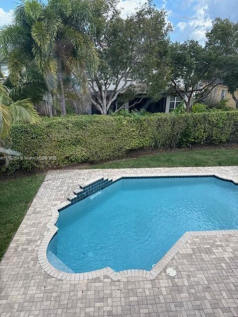 view of pool featuring a patio