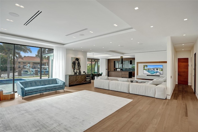 living room with light hardwood / wood-style floors and a healthy amount of sunlight