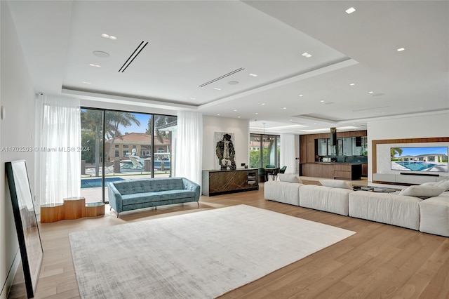 living room with a tray ceiling and light hardwood / wood-style floors