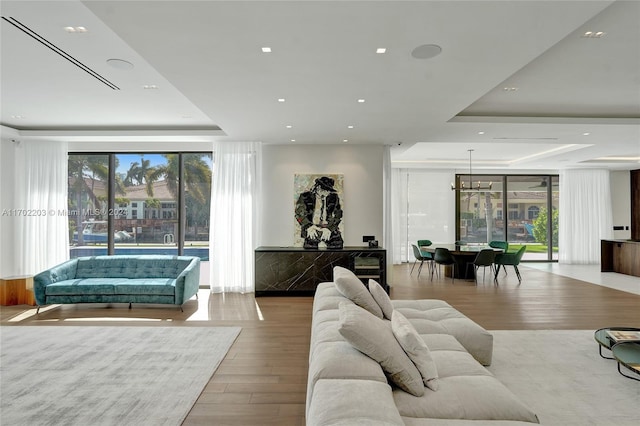 living room featuring light hardwood / wood-style floors and a raised ceiling