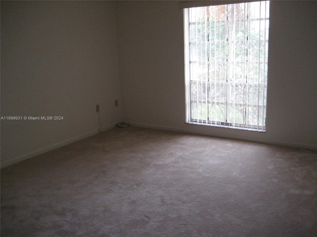 carpeted spare room featuring a wealth of natural light