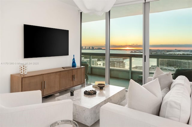 living room featuring plenty of natural light and a wall of windows