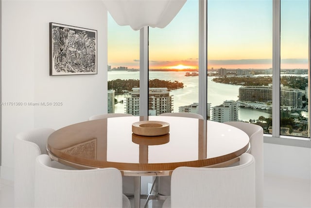 dining room featuring a water view and a wealth of natural light