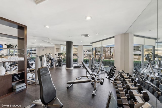 exercise room featuring a wall of windows