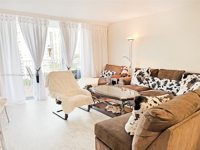 living room featuring light hardwood / wood-style flooring