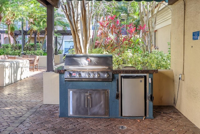 view of patio / terrace with grilling area and exterior kitchen