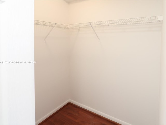 walk in closet with hardwood / wood-style flooring