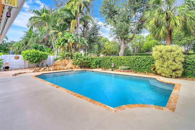 view of pool with a patio area