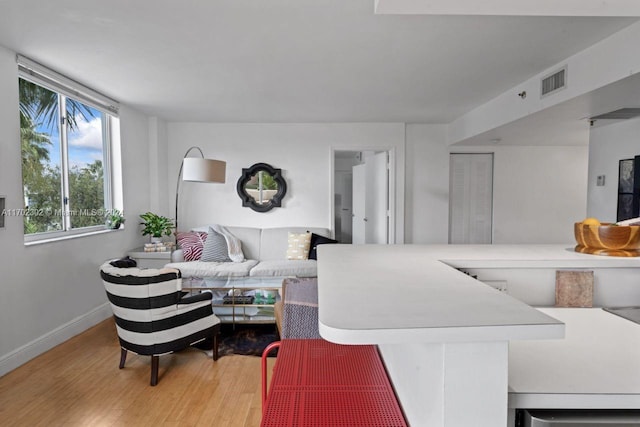 living room featuring light hardwood / wood-style flooring