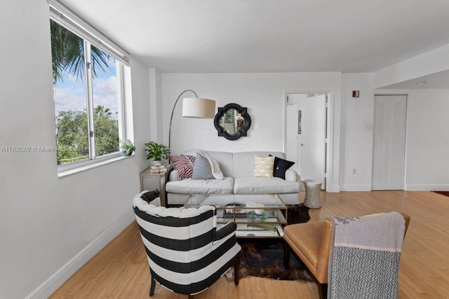 living room featuring light hardwood / wood-style flooring