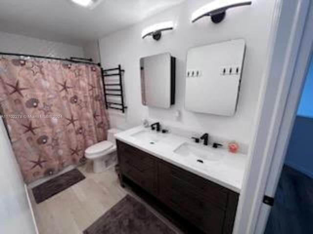 bathroom featuring vanity, toilet, and wood-type flooring